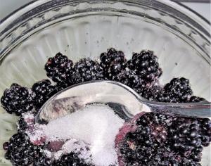 रेफ्रिजरेटर में भंडारण के लिए चीनी के साथ प्यूरी की गई ब्लैकबेरी (बिना पकाए)