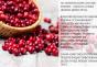 Getrocknete Cranberries Kalorien pro 100