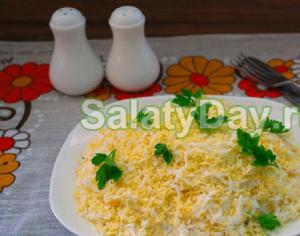 Zarter Salat